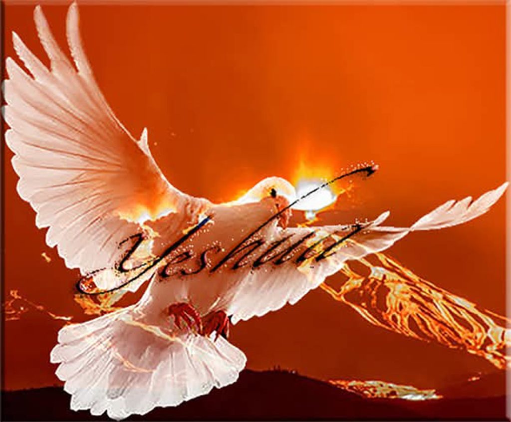 Lumière du monde, Jésus ! logo2
